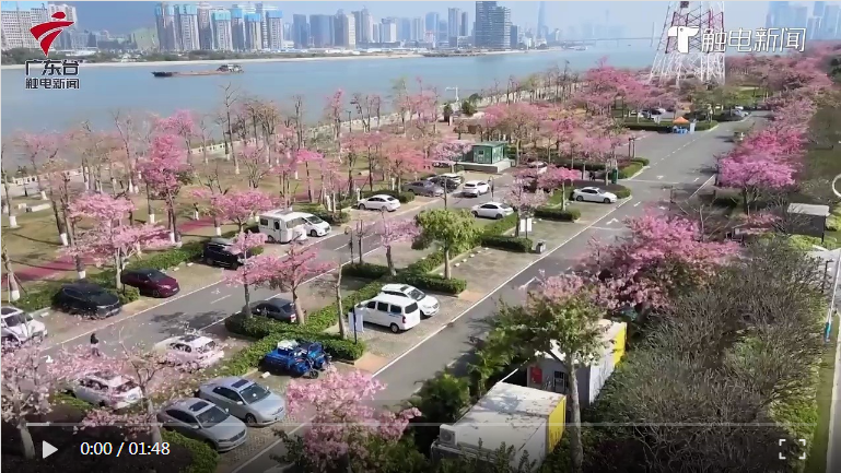 橫琴粵澳深度合作區(qū)首個(gè)公共停車(chē)場(chǎng)充電站正式運(yùn)行