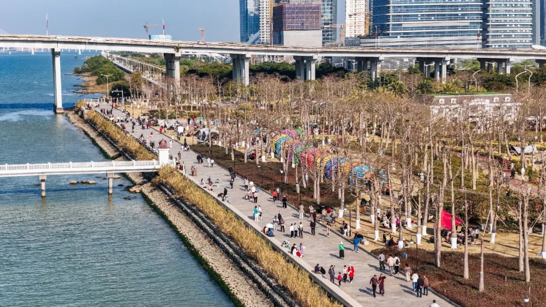 1739153024568374.jpg 5.jpg